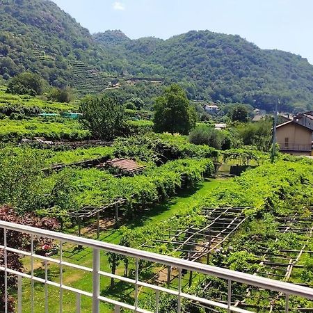 Ferienwohnung La Casa Dei Nonni 3,0 Carema Exterior foto