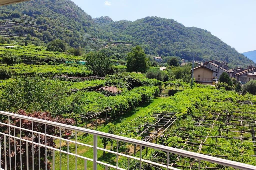 Ferienwohnung La Casa Dei Nonni 3,0 Carema Exterior foto