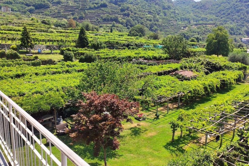 Ferienwohnung La Casa Dei Nonni 3,0 Carema Exterior foto