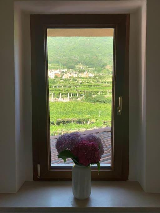 Ferienwohnung La Casa Dei Nonni 3,0 Carema Exterior foto